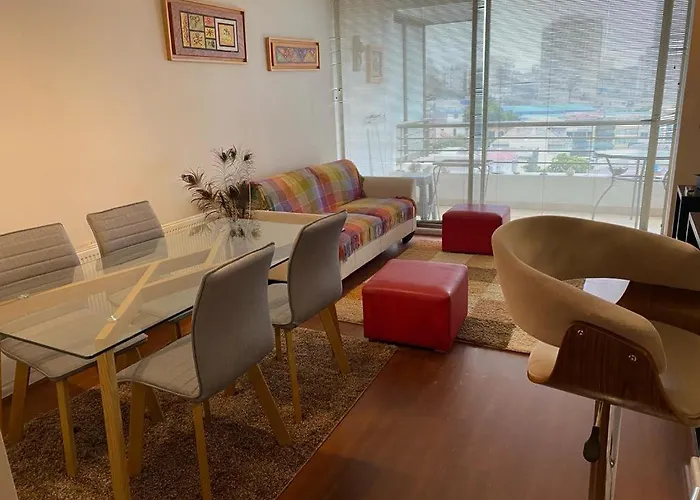 Hermoso Y Comodo Departamento En El Centro De Vina Del Mar - Vina Park 2